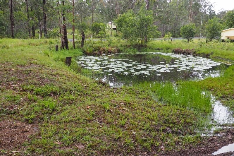 190 Van Hensbroek Road, Bauple QLD 4650, Bauple - Thumbnail 2