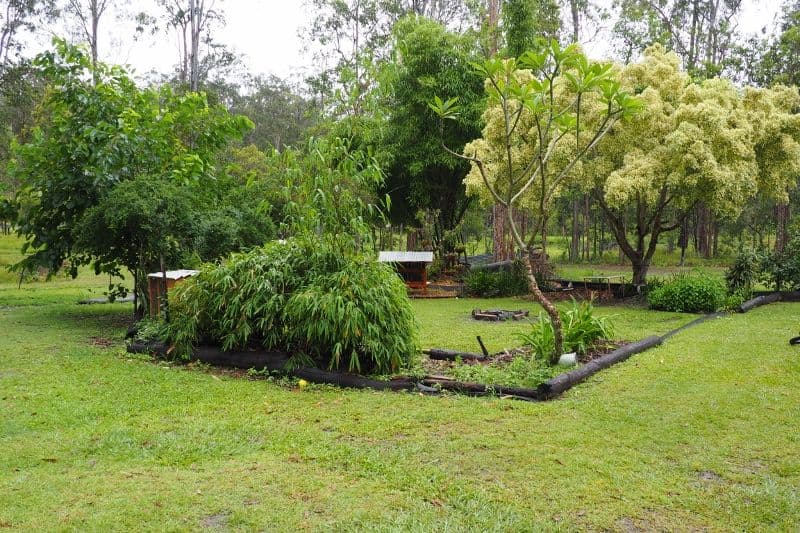 190 Van Hensbroek Road, Bauple QLD 4650, Bauple - Thumbnail 8