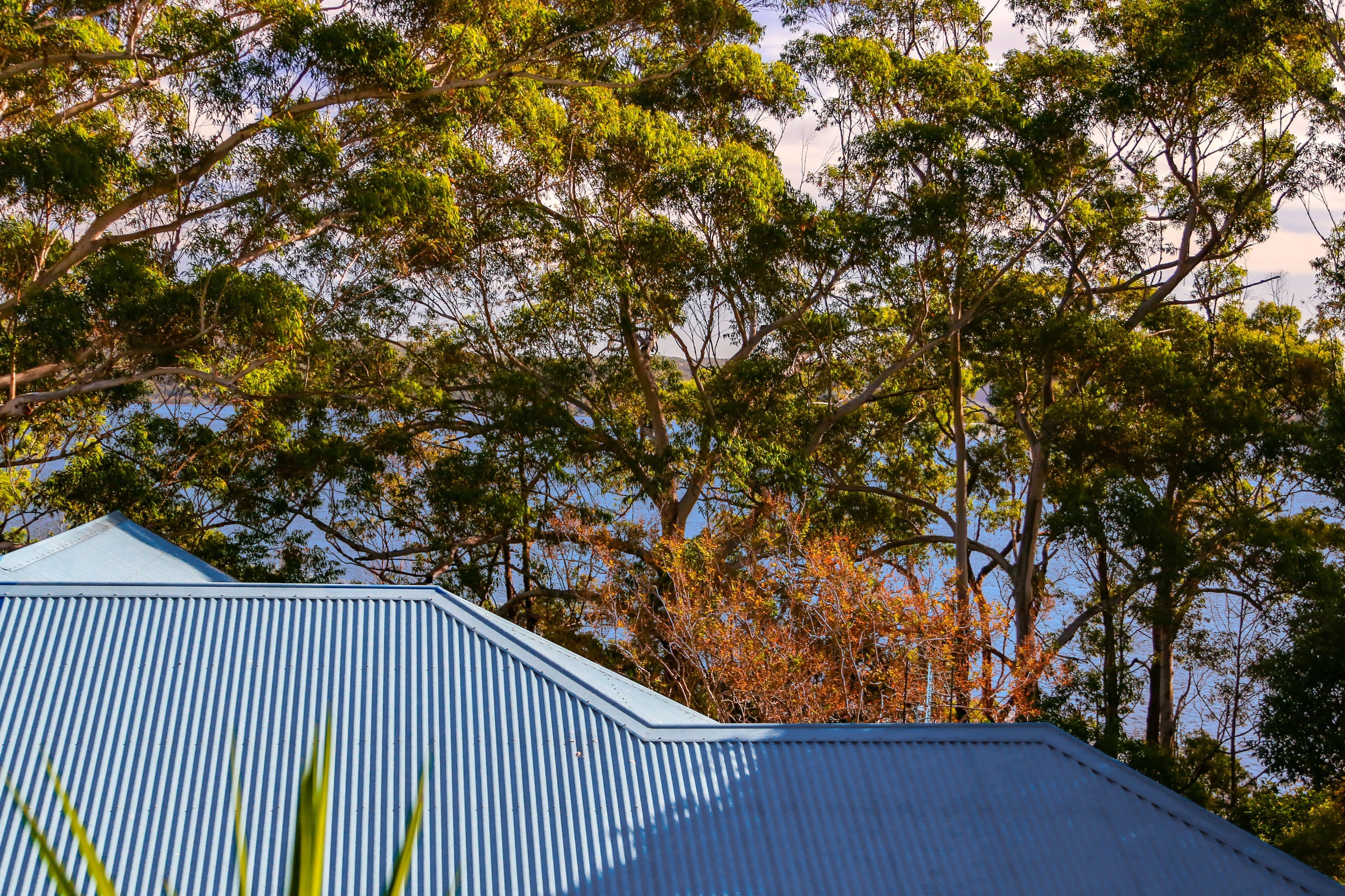 4 Malumba Avenue, Saratoga - Thumbnail 3