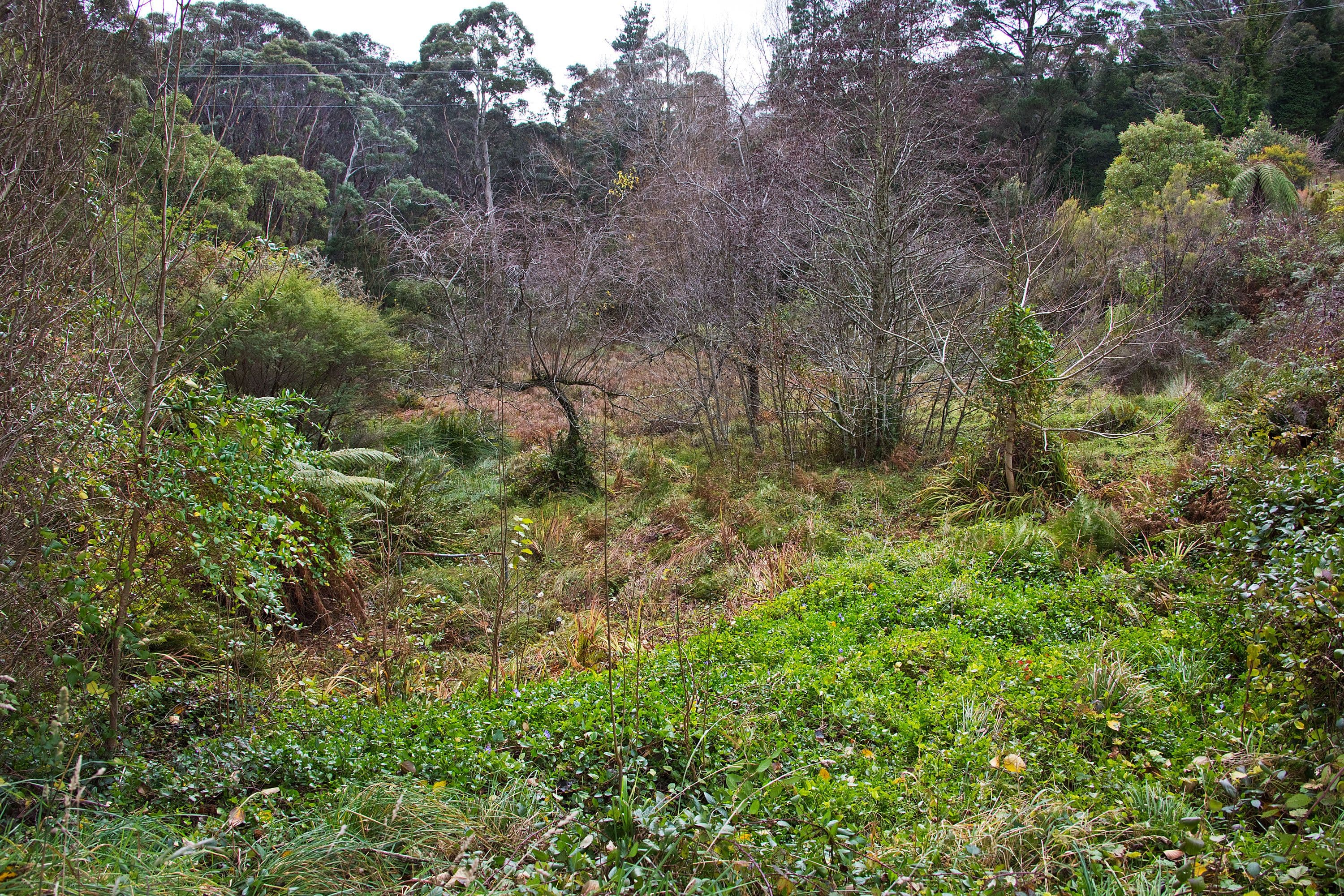 11 Cleopatra Street, Blackheath NSW 2785, Blackheath - Thumbnail 2