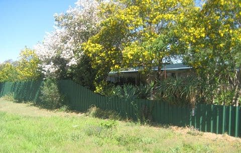 82 Yarran Street, Coonamble - Thumbnail 6
