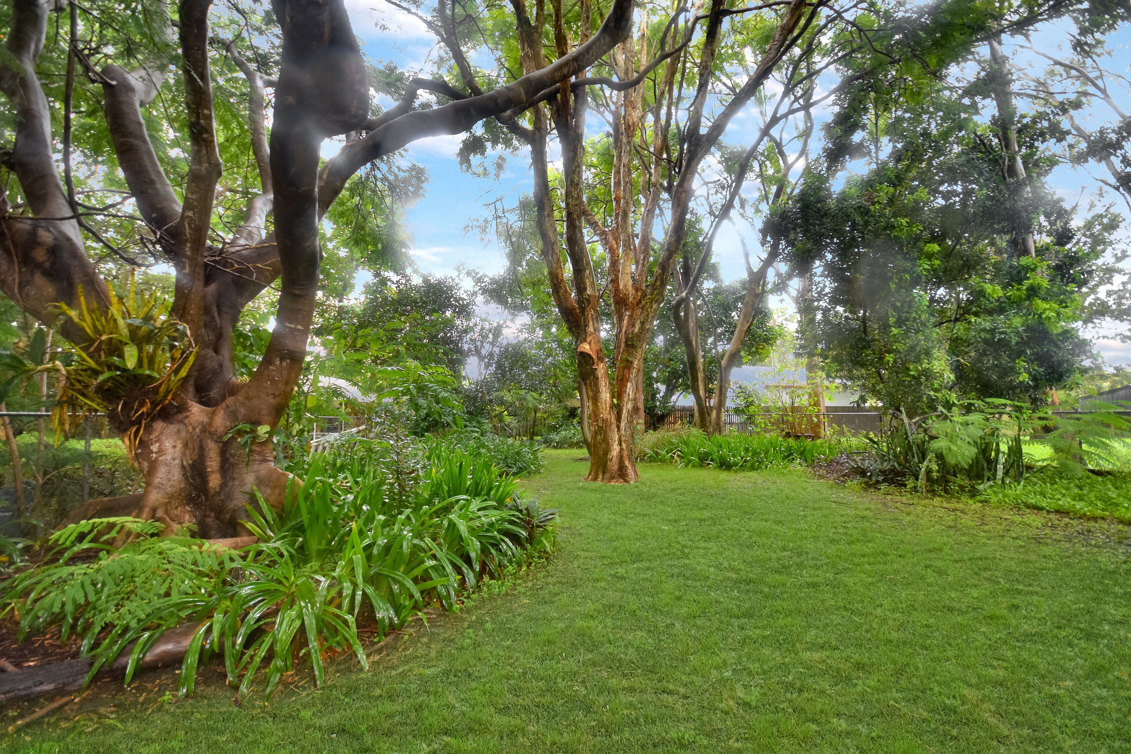 126 Spitfire Avenue, Strathpine QLD 4500, Strathpine - Thumbnail 3