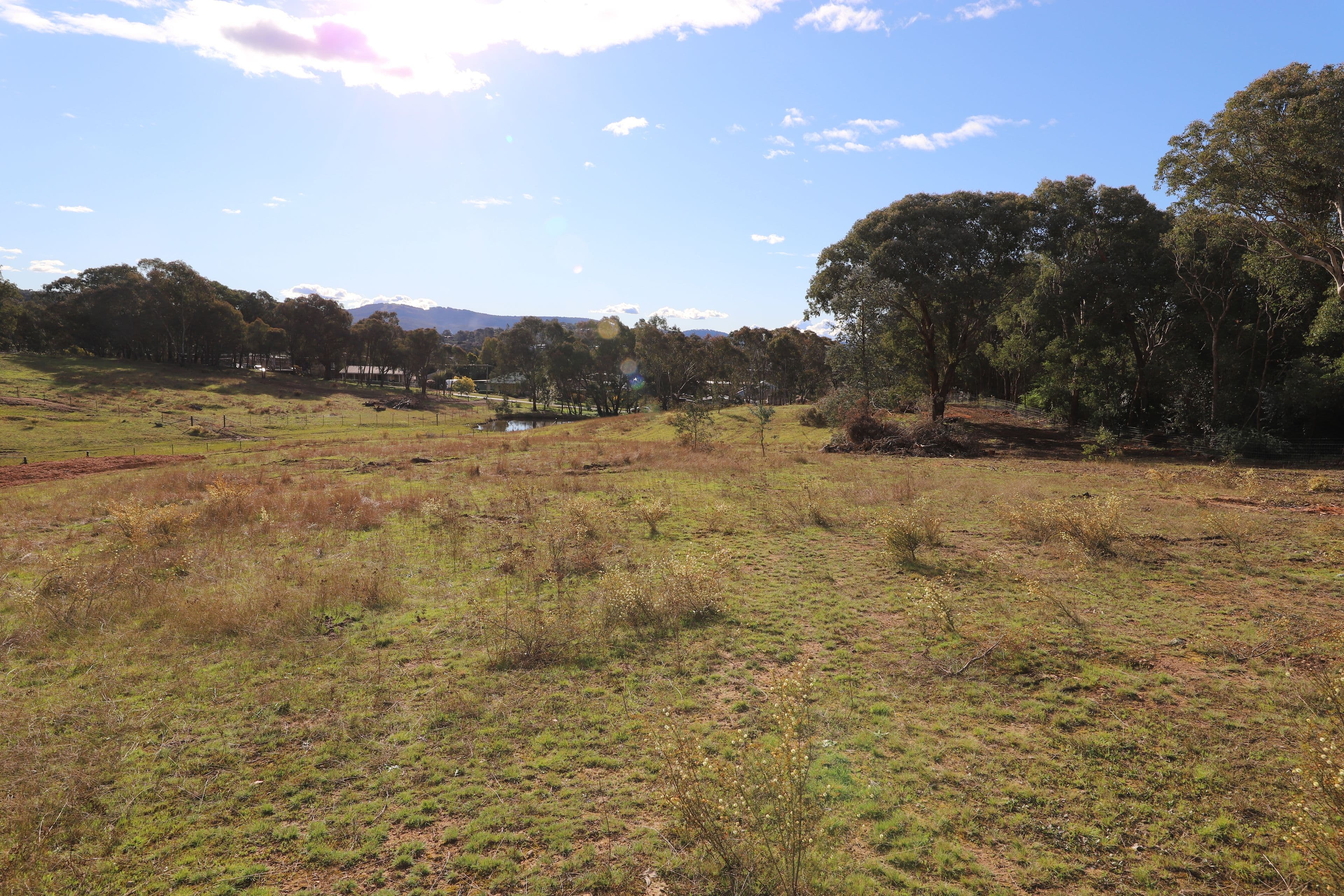 36 Quandong Avenue, Tumut NSW 2720, Tumut - Thumbnail 3