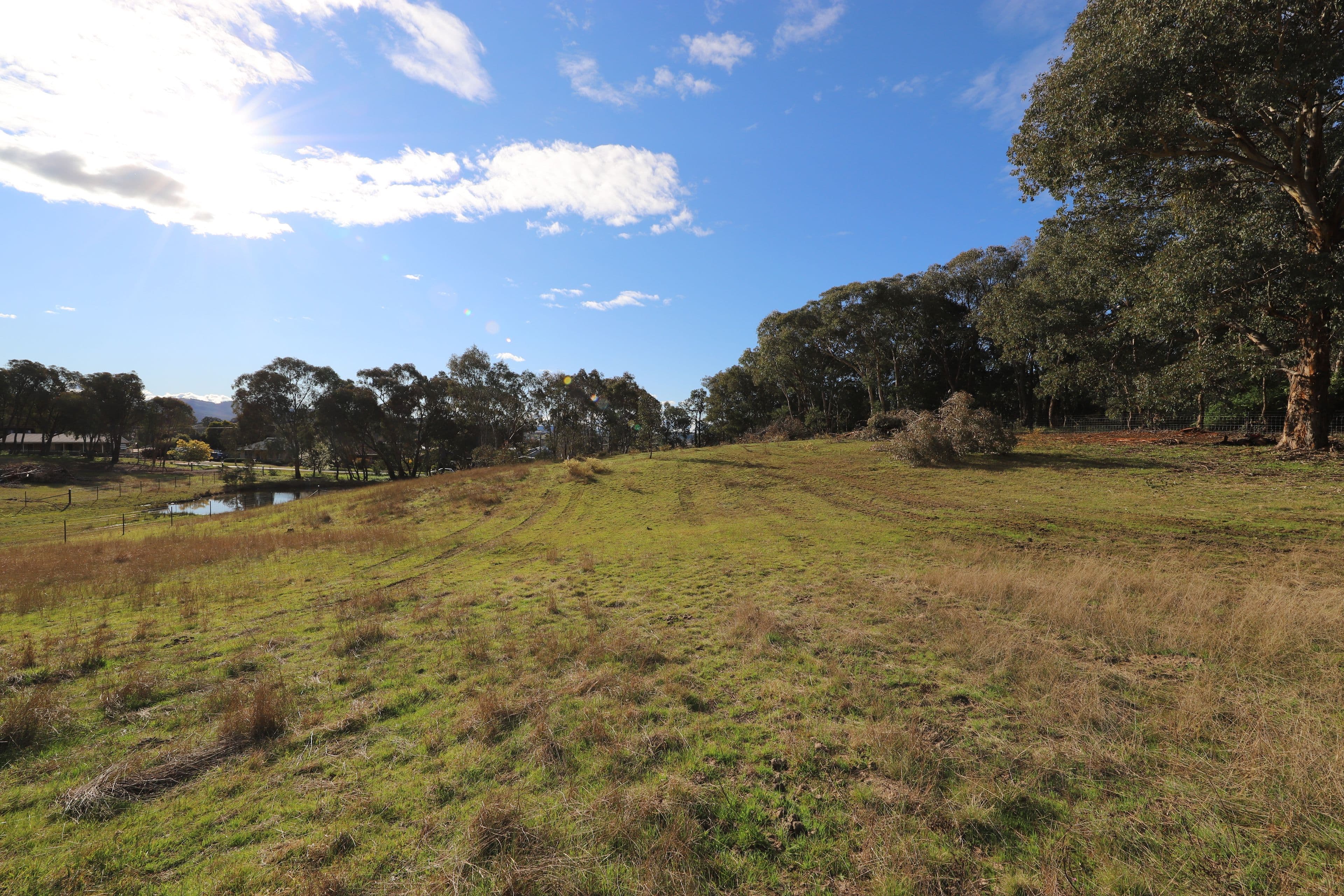 36 Quandong Avenue, Tumut NSW 2720, Tumut - Thumbnail 4