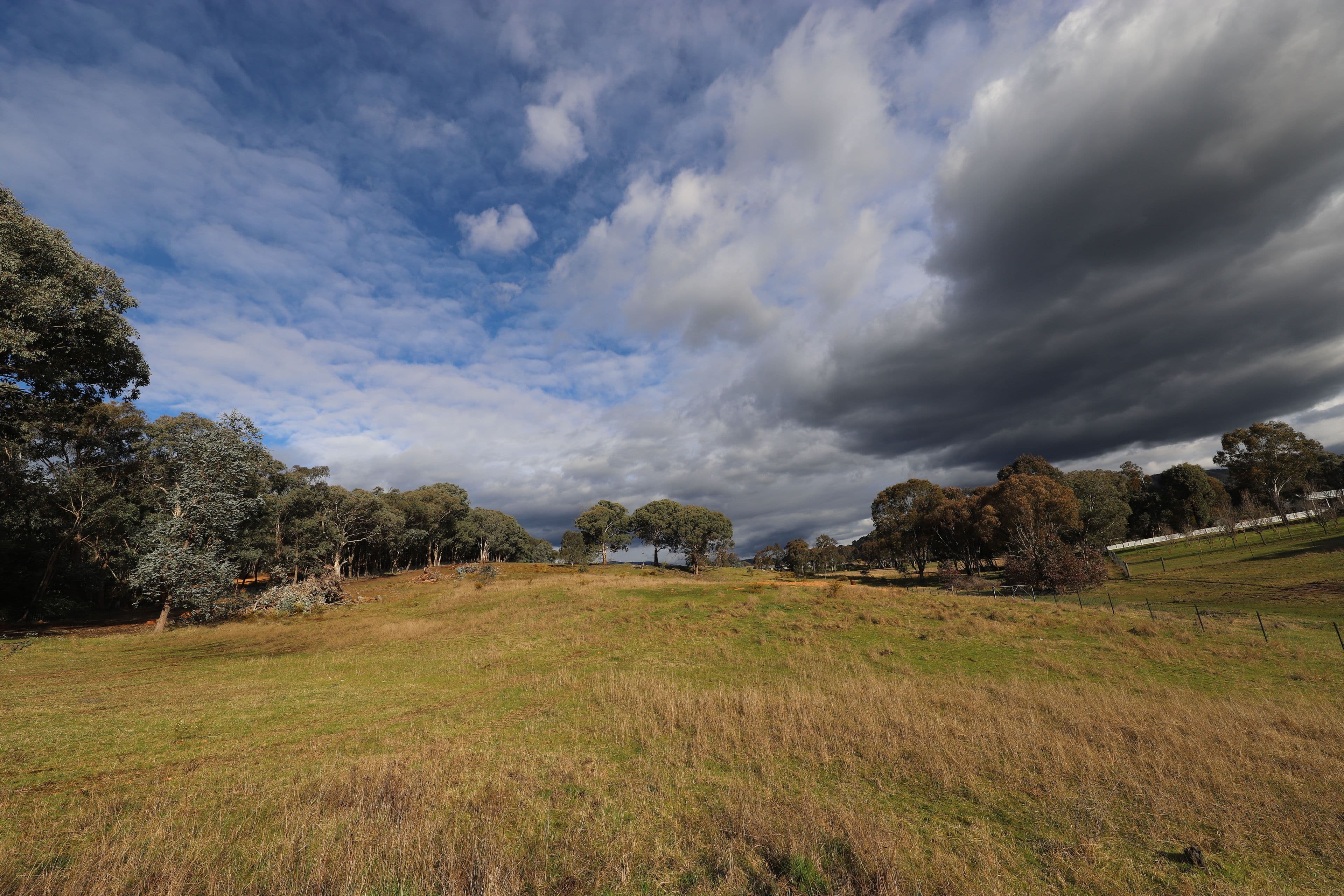 36 Quandong Avenue, Tumut NSW 2720, Tumut - Thumbnail 5