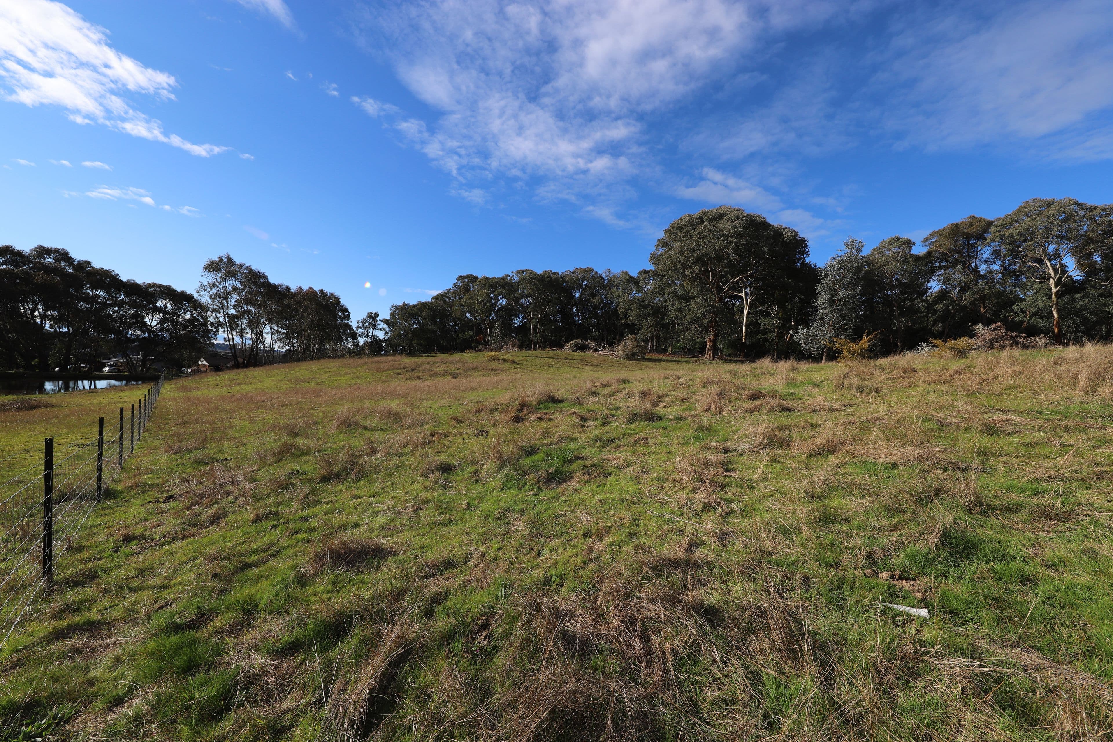 36 Quandong Avenue, Tumut NSW 2720, Tumut - Thumbnail 6