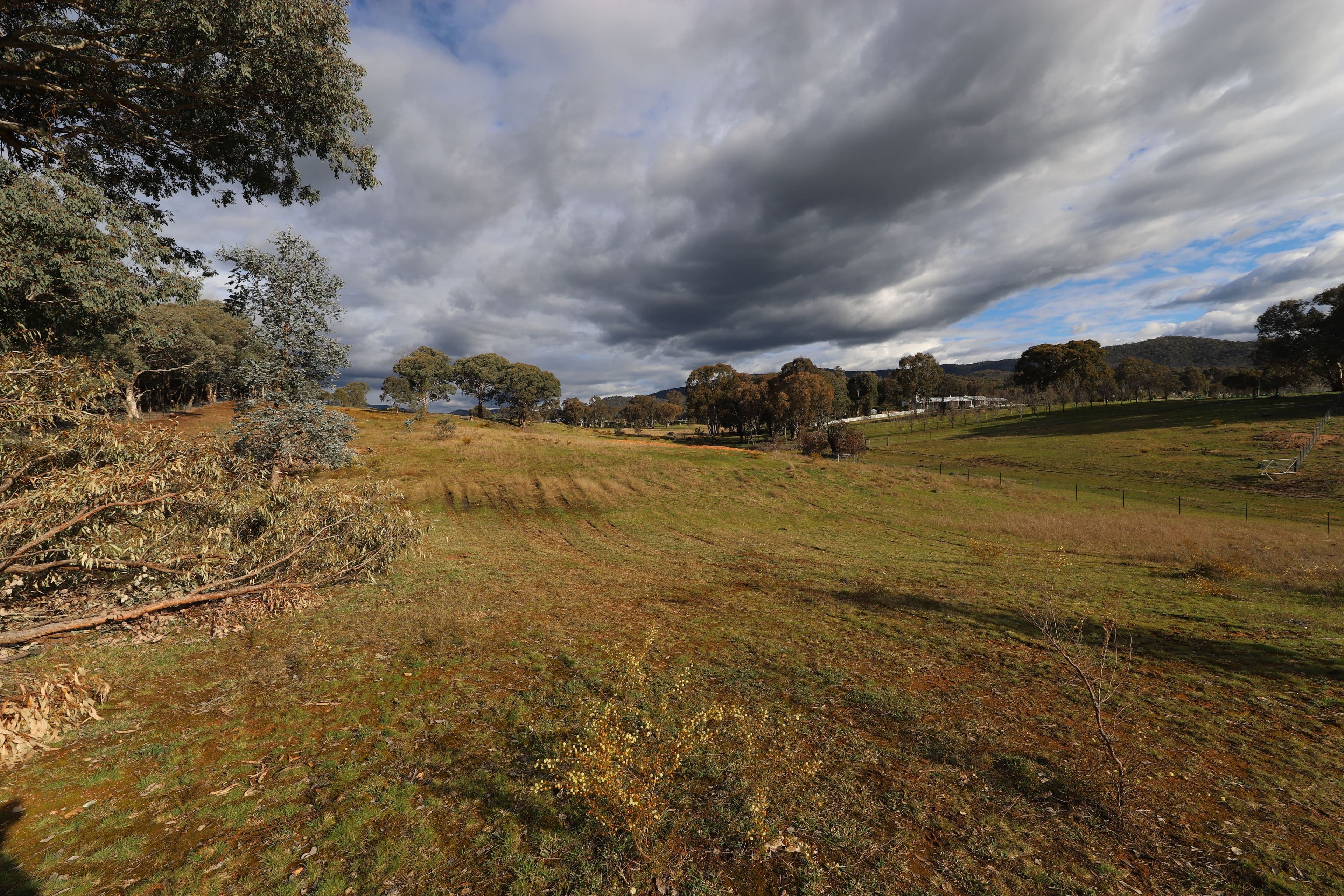 36 Quandong Avenue, Tumut NSW 2720, Tumut - Thumbnail 7