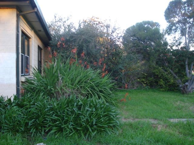 68 Dauntsey Road, ELIZABETH NORTH SA 5113, Elizabeth North - Thumbnail 4