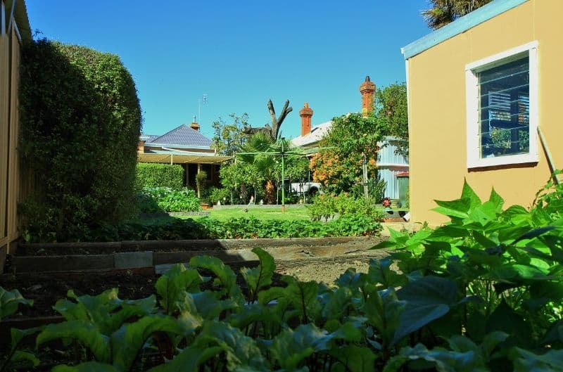 197 McCrae Street, BENDIGO VIC 3550, Bendigo - Thumbnail 5