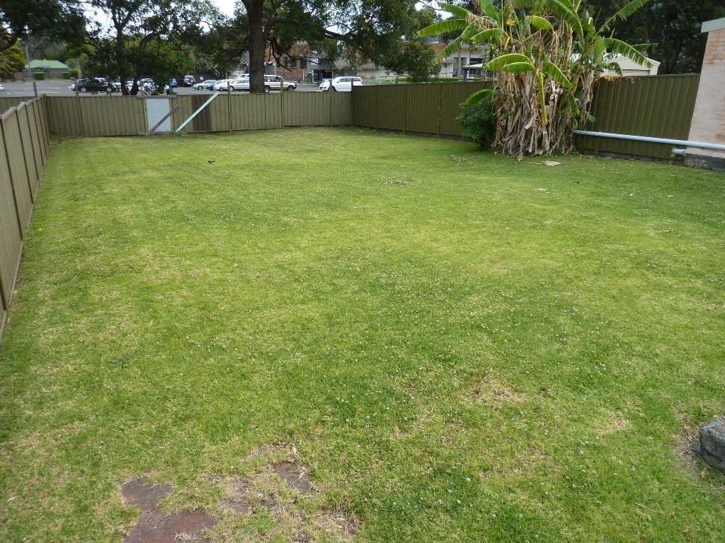 165 Campbell Street, WOONONA NSW 2517, Woonona - Thumbnail 3
