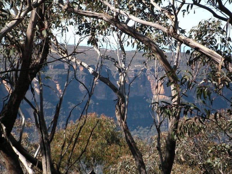 116 Sublime Point Road, LEURA NSW 2780, Leura - Image 1