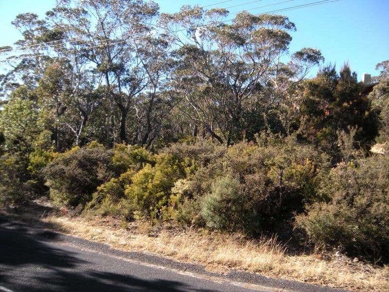 116 Sublime Point Road, LEURA NSW 2780, Leura - Thumbnail 2