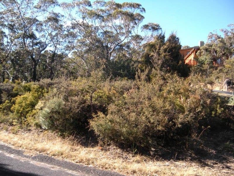 116 Sublime Point Road, LEURA NSW 2780, Leura - Thumbnail 3