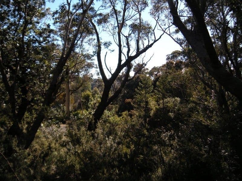 116 Sublime Point Road, LEURA NSW 2780, Leura - Thumbnail 4