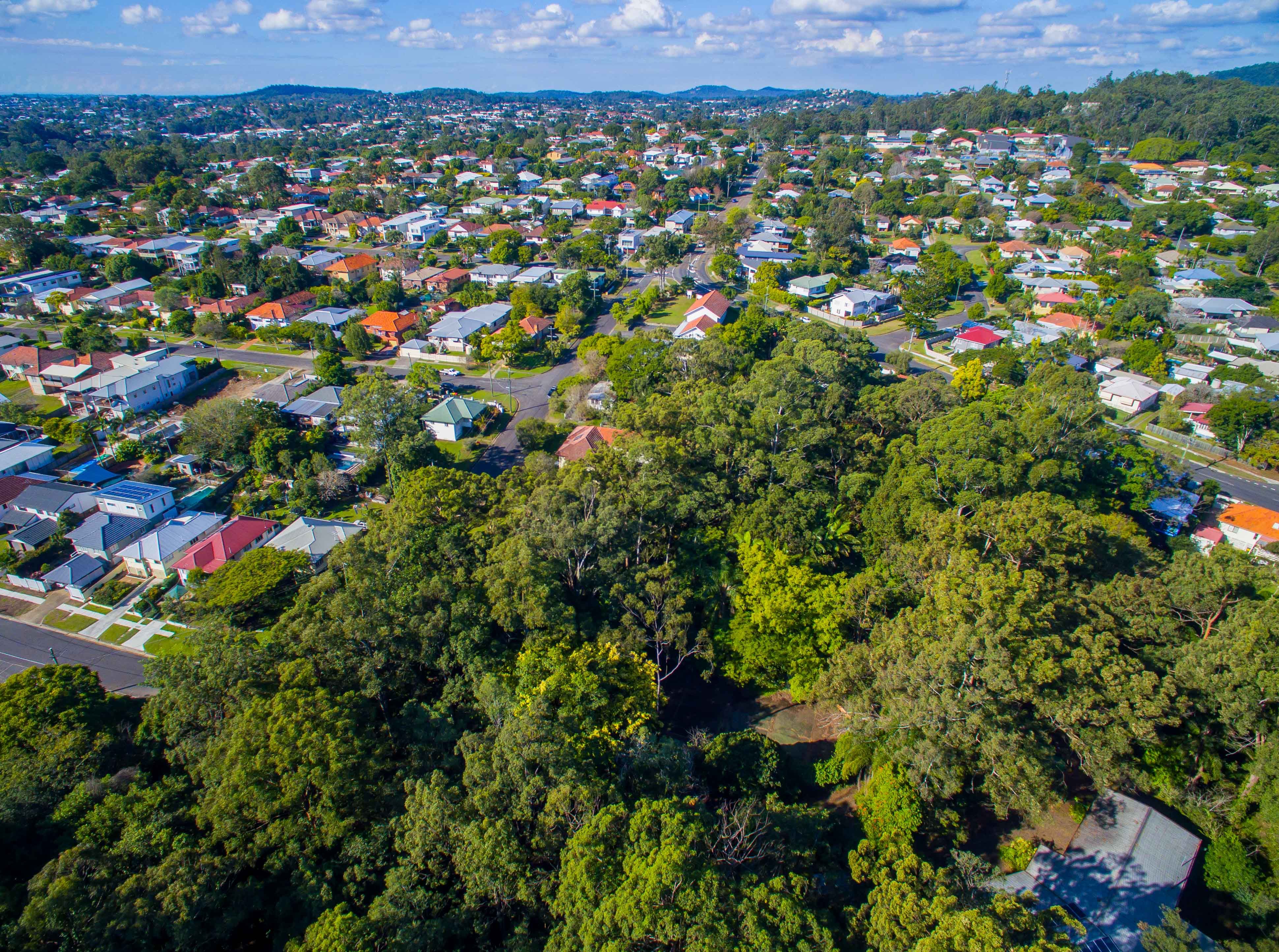 248 Weller Road, Tarragindi QLD 4121, Tarragindi - Thumbnail 4