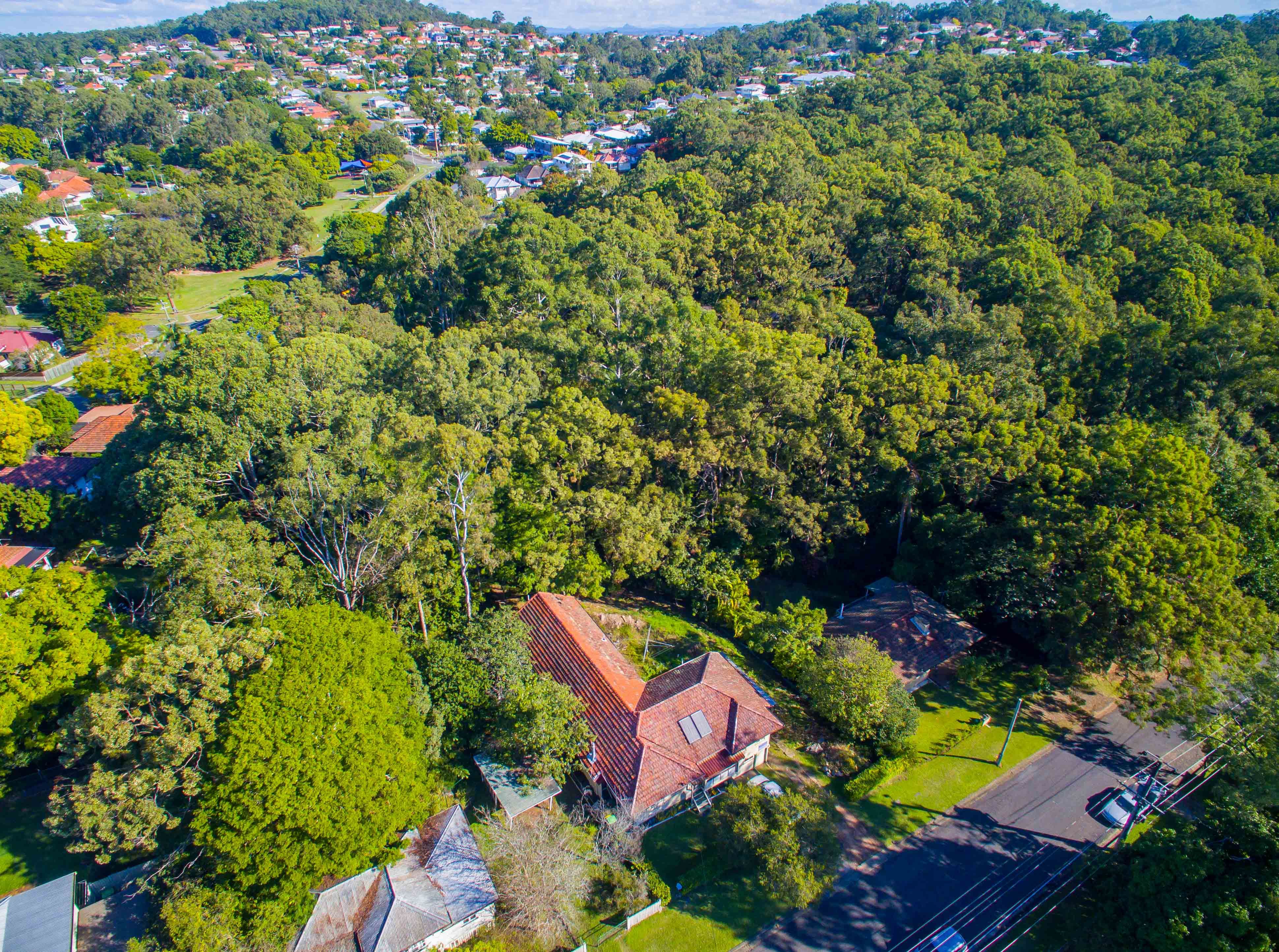 248 Weller Road, Tarragindi QLD 4121, Tarragindi - Thumbnail 6