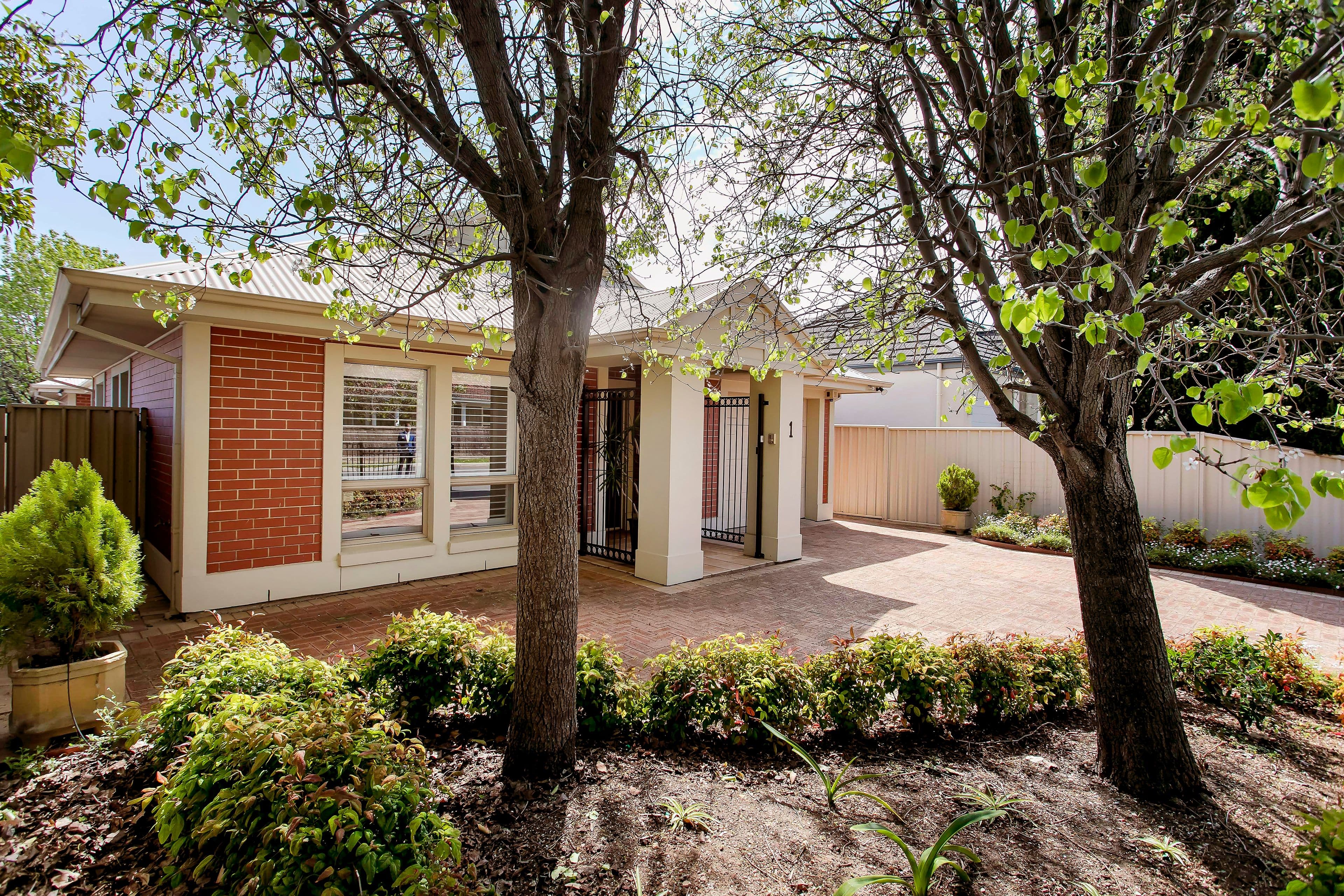 1 Park Street, Linden Park SA 5065, Linden Park - Thumbnail 5