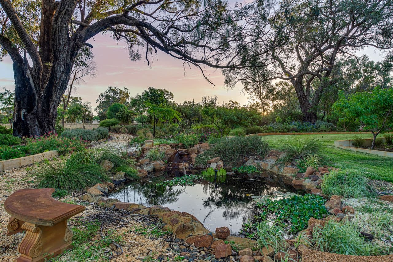 36 Farmhouse Link, Two Rocks WA 6037, Two Rocks - Thumbnail 2