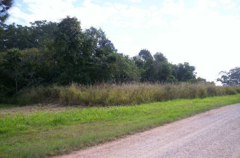 1 Judith Street, RUSSELL ISLAND QLD 4184, Russell Island - Thumbnail 2