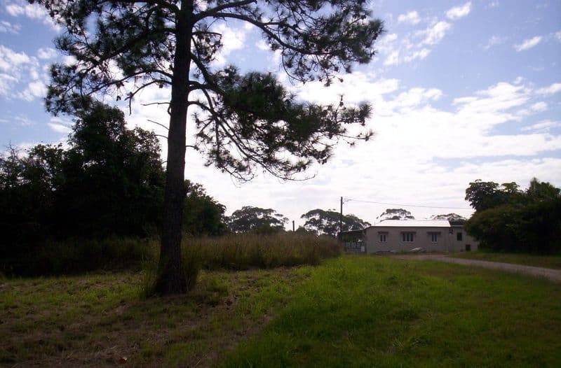 1 Judith Street, RUSSELL ISLAND QLD 4184, Russell Island - Thumbnail 4