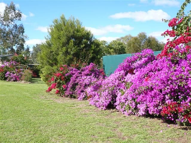 3 Webb Court, ROMA QLD 4455, Roma - Thumbnail 6