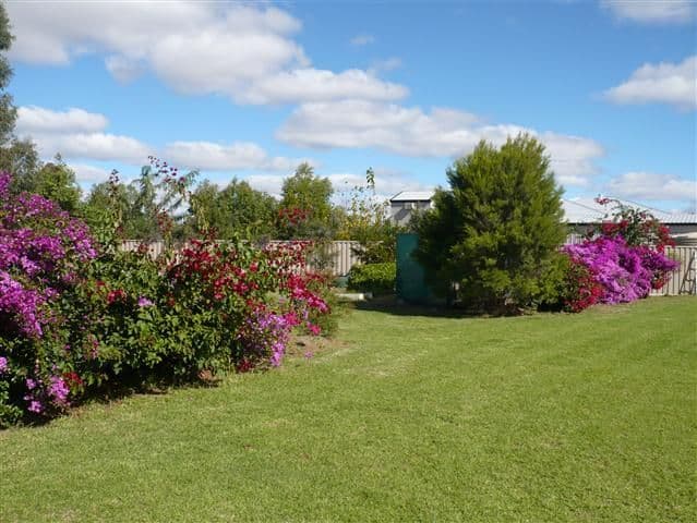 3 Webb Court, ROMA QLD 4455, Roma - Thumbnail 8