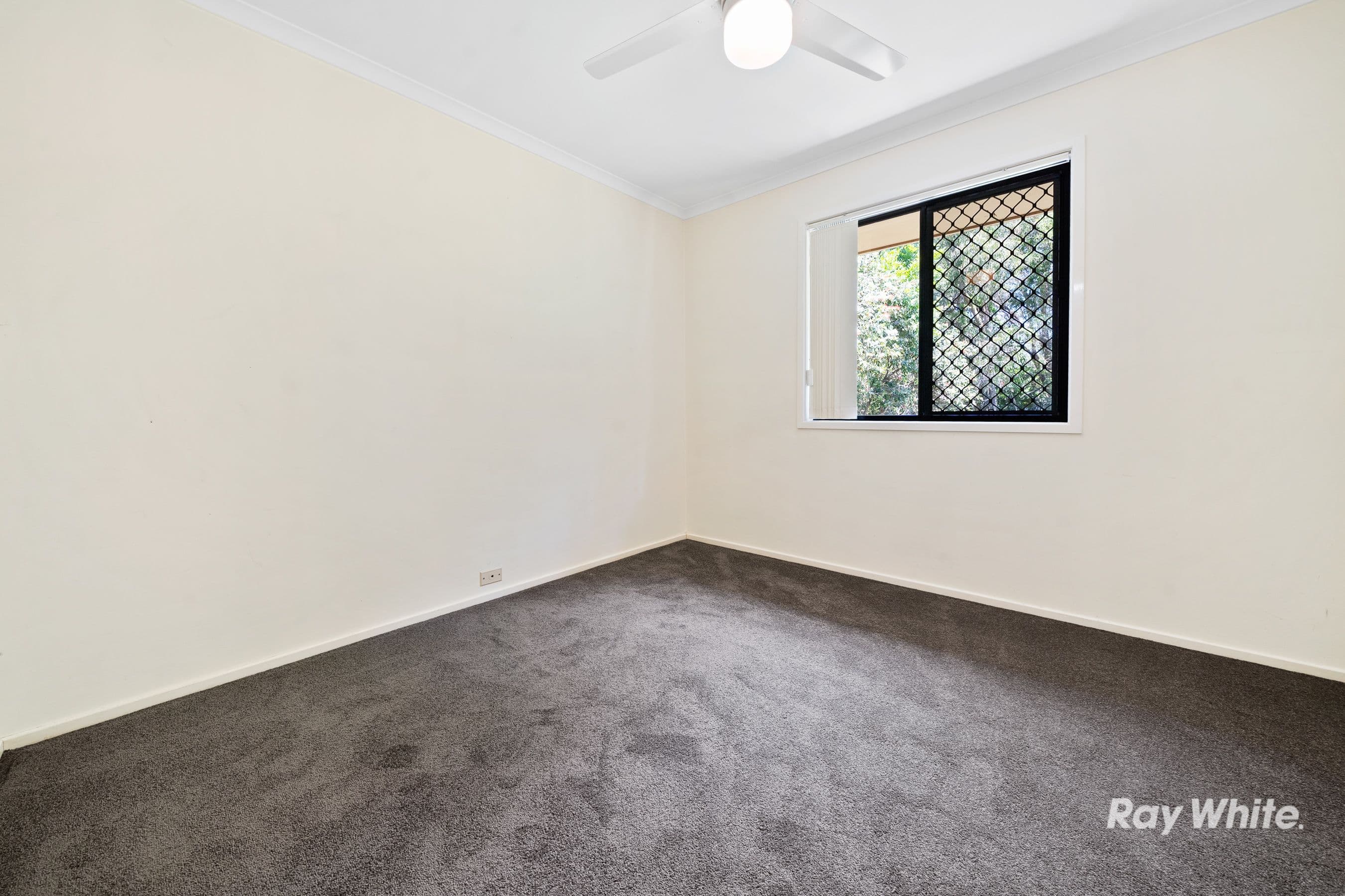 31 Calabash Street, Ormeau QLD 4208, Ormeau - Thumbnail 7