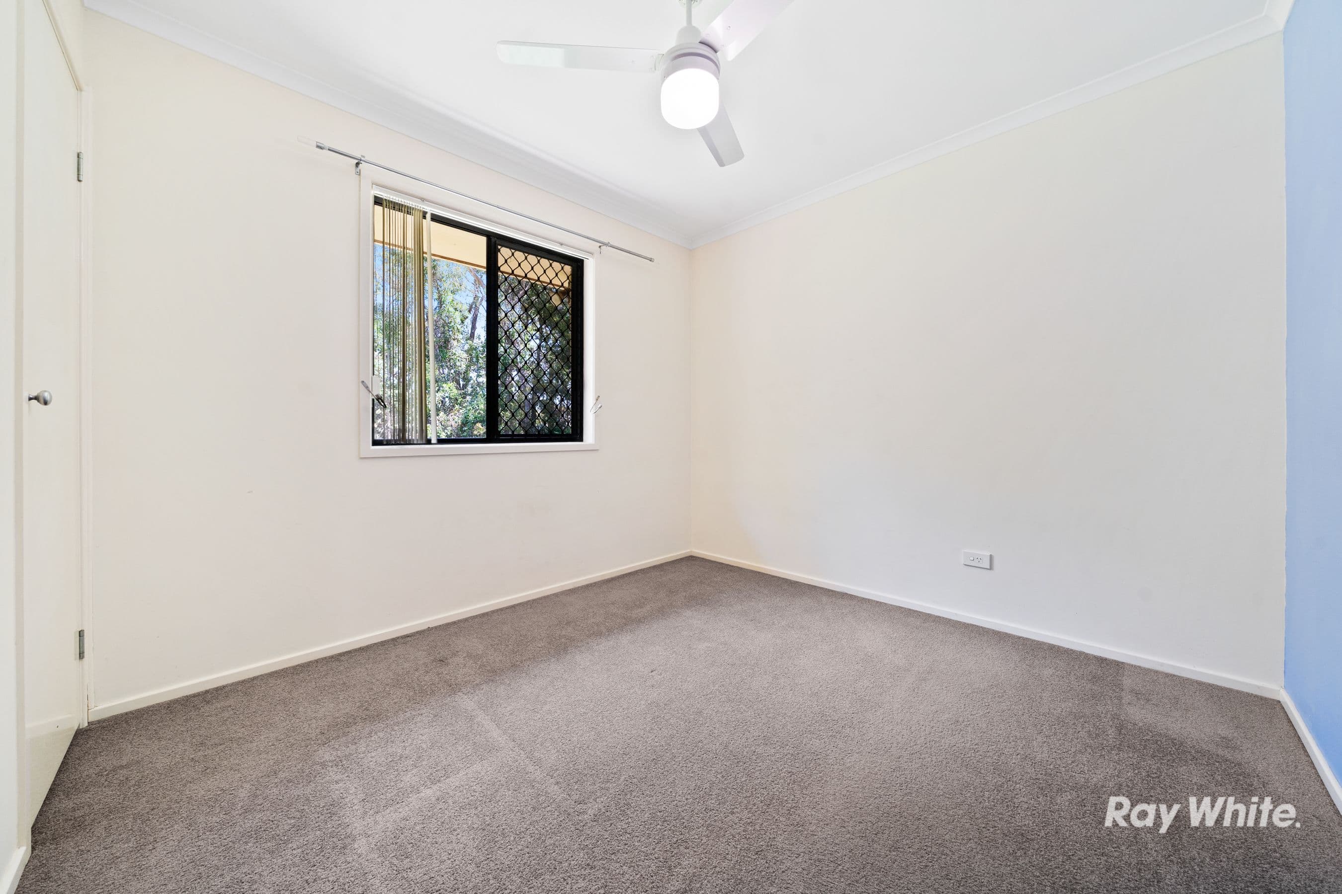 31 Calabash Street, Ormeau QLD 4208, Ormeau - Thumbnail 8