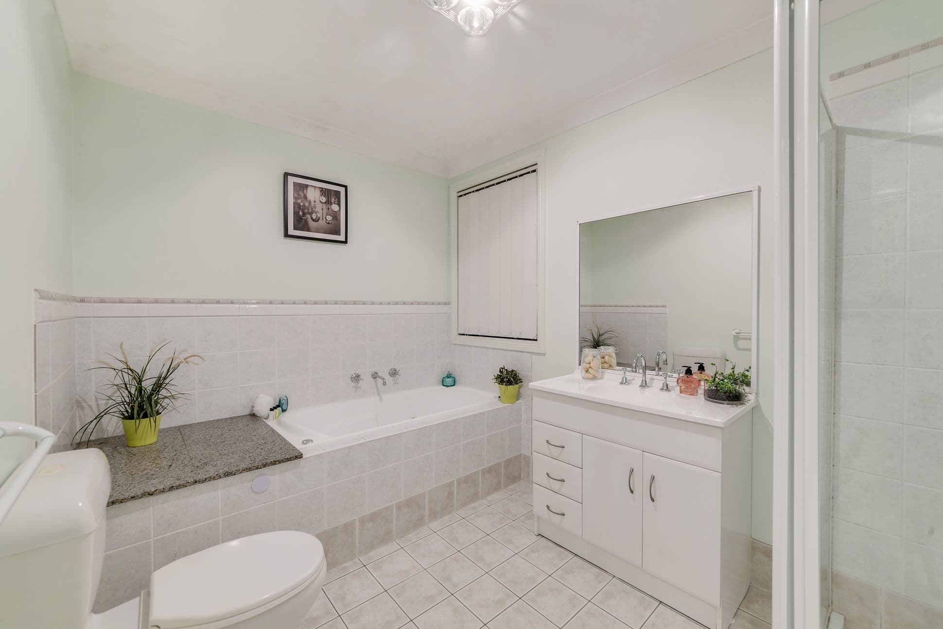 19 Alexander Crescent, Macquarie Fields - Thumbnail 7