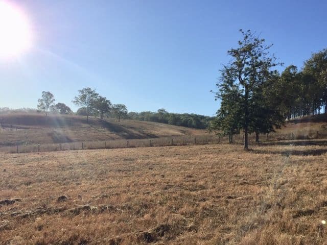 27 Christmas Creek Road, Laravale QLD 4285, Laravale - Thumbnail 2