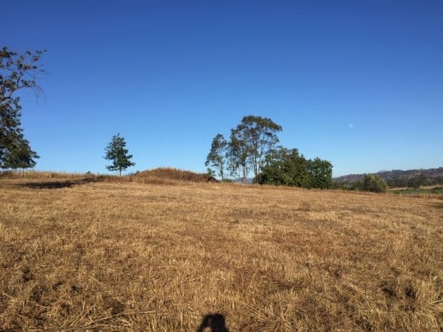 27 Christmas Creek Road, Laravale QLD 4285, Laravale - Thumbnail 5