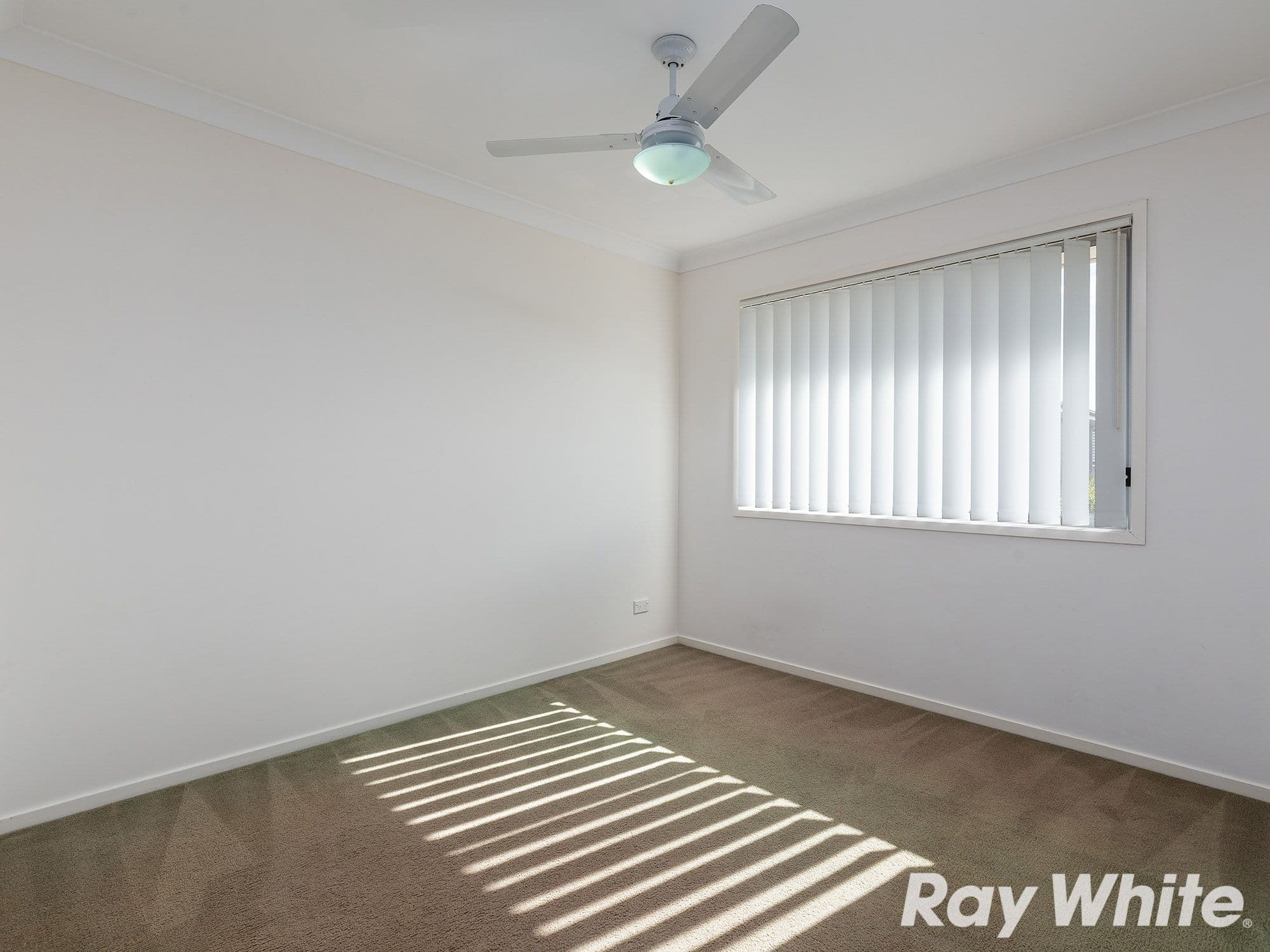 99 Peverell Street, Hillcrest QLD 4118, Hillcrest - Thumbnail 7