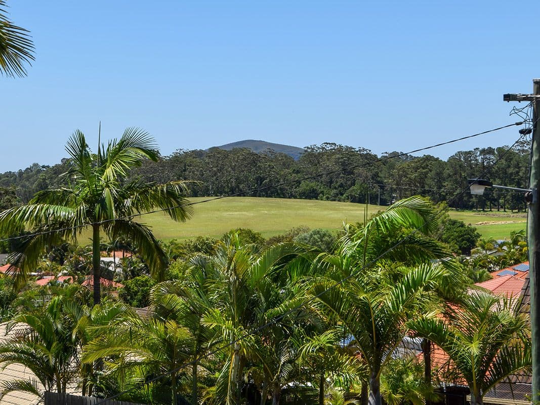 13 Ellesmere Avenue, Bli Bli QLD 4560, Bli Bli - Thumbnail 7