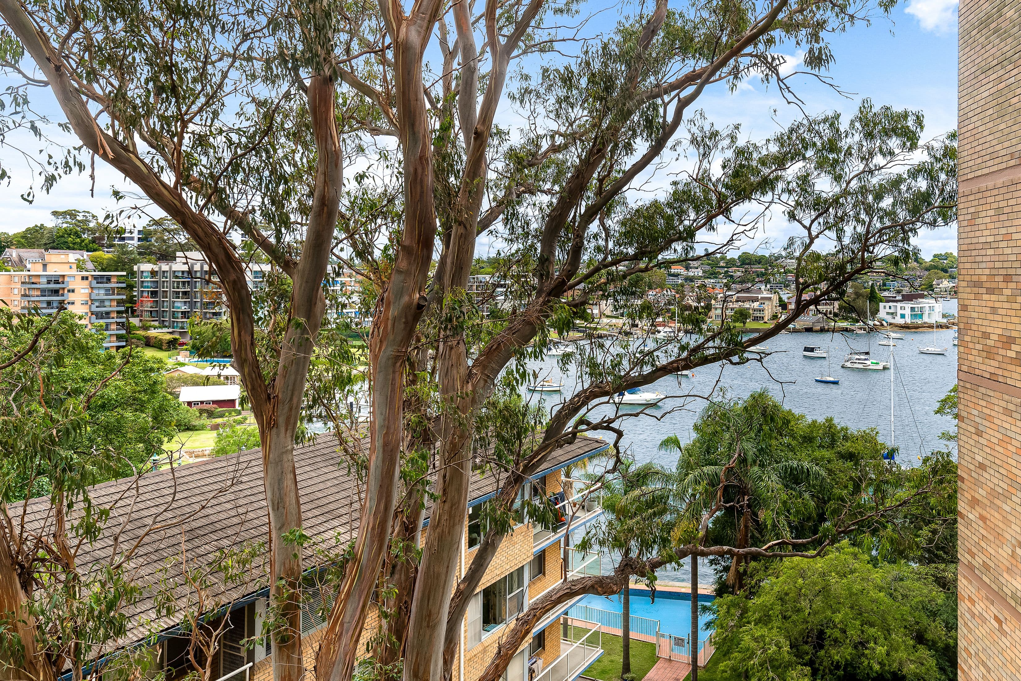 14 Wolseley Street, Drummoyne NSW 2047, Drummoyne - Image 1