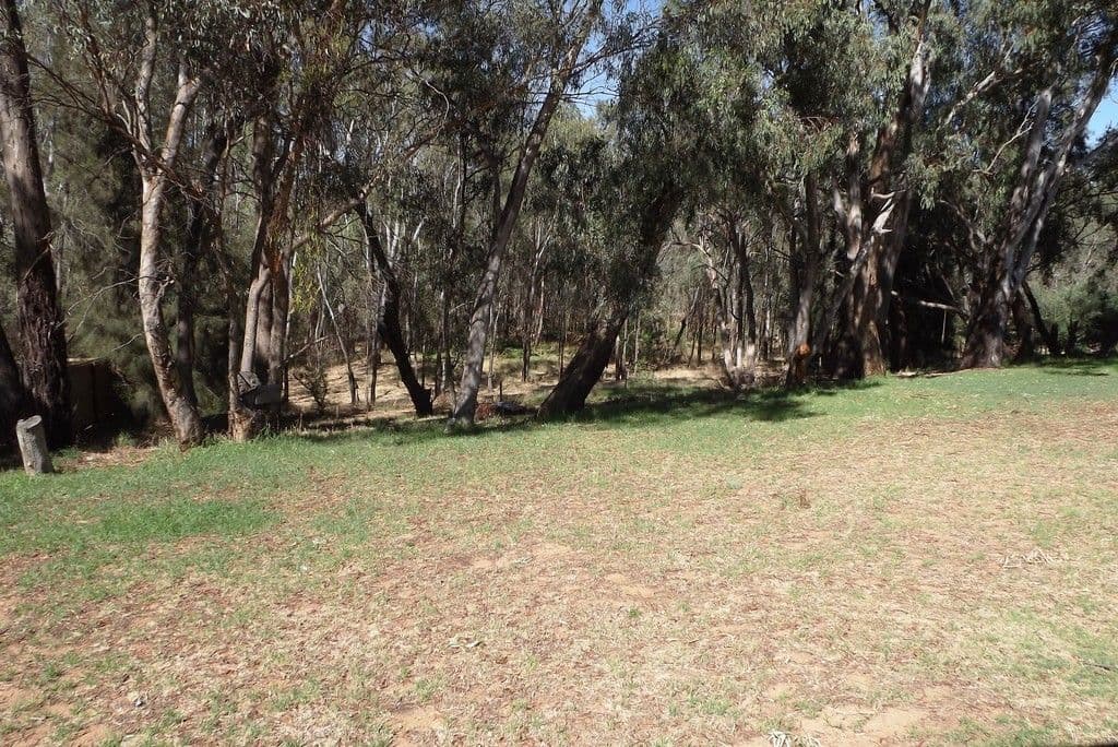 49 Wanani Road, Mulwala NSW 2647, Mulwala - Thumbnail 4