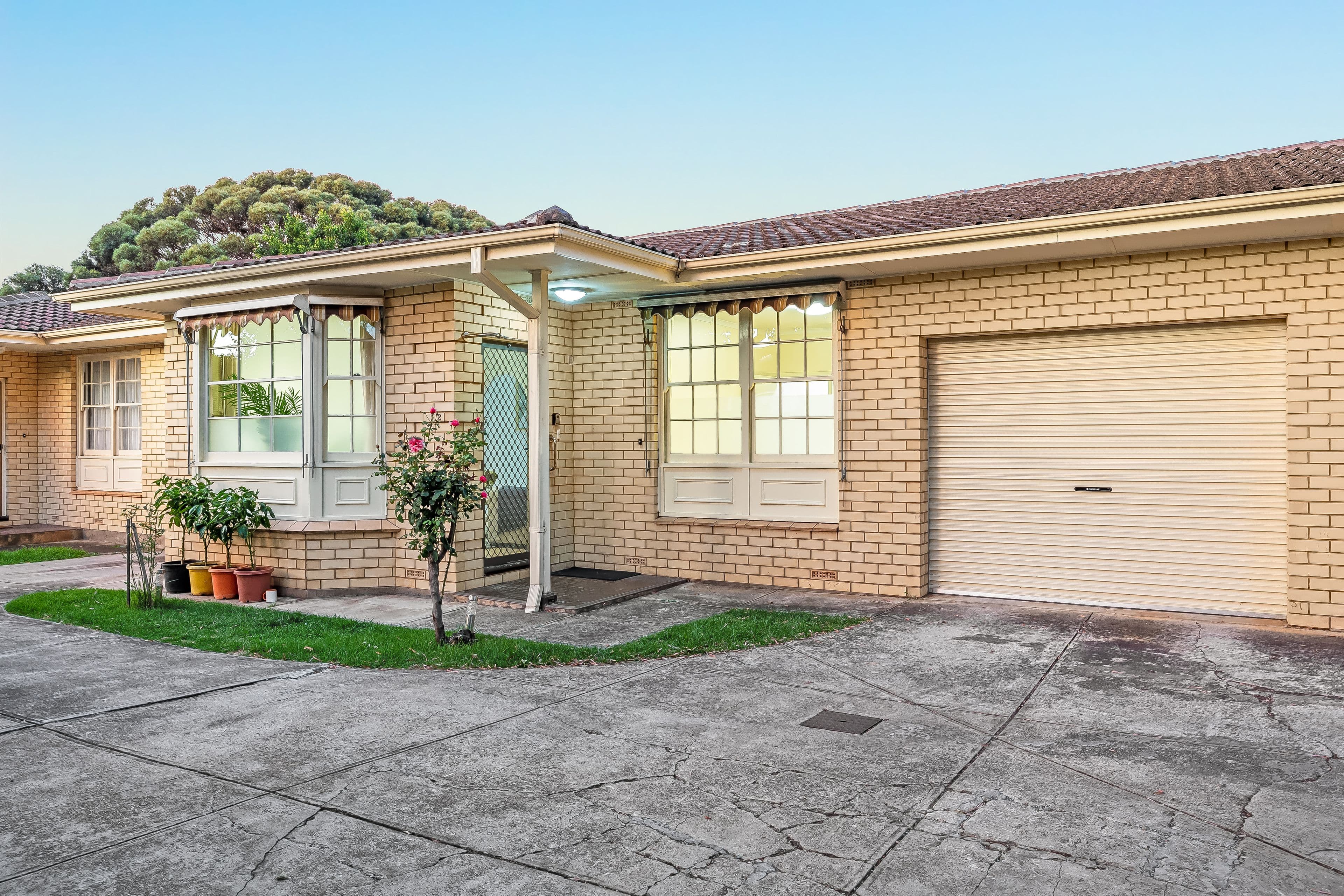 38 Torrens Street, Linden Park SA 5065, Linden Park - Thumbnail 2