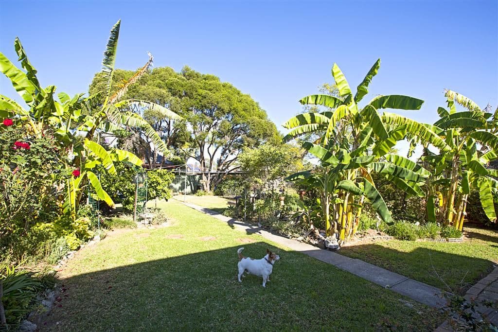 86 Derby Street, PENRITH NSW 2750, Penrith - Thumbnail 5