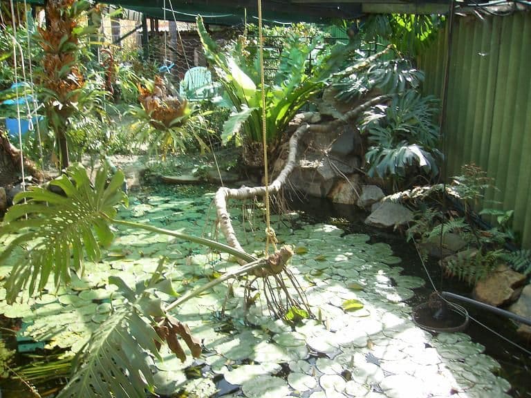 7 Tall Karri Close, WESTFIELD WA 6111, Westfield - Thumbnail 2
