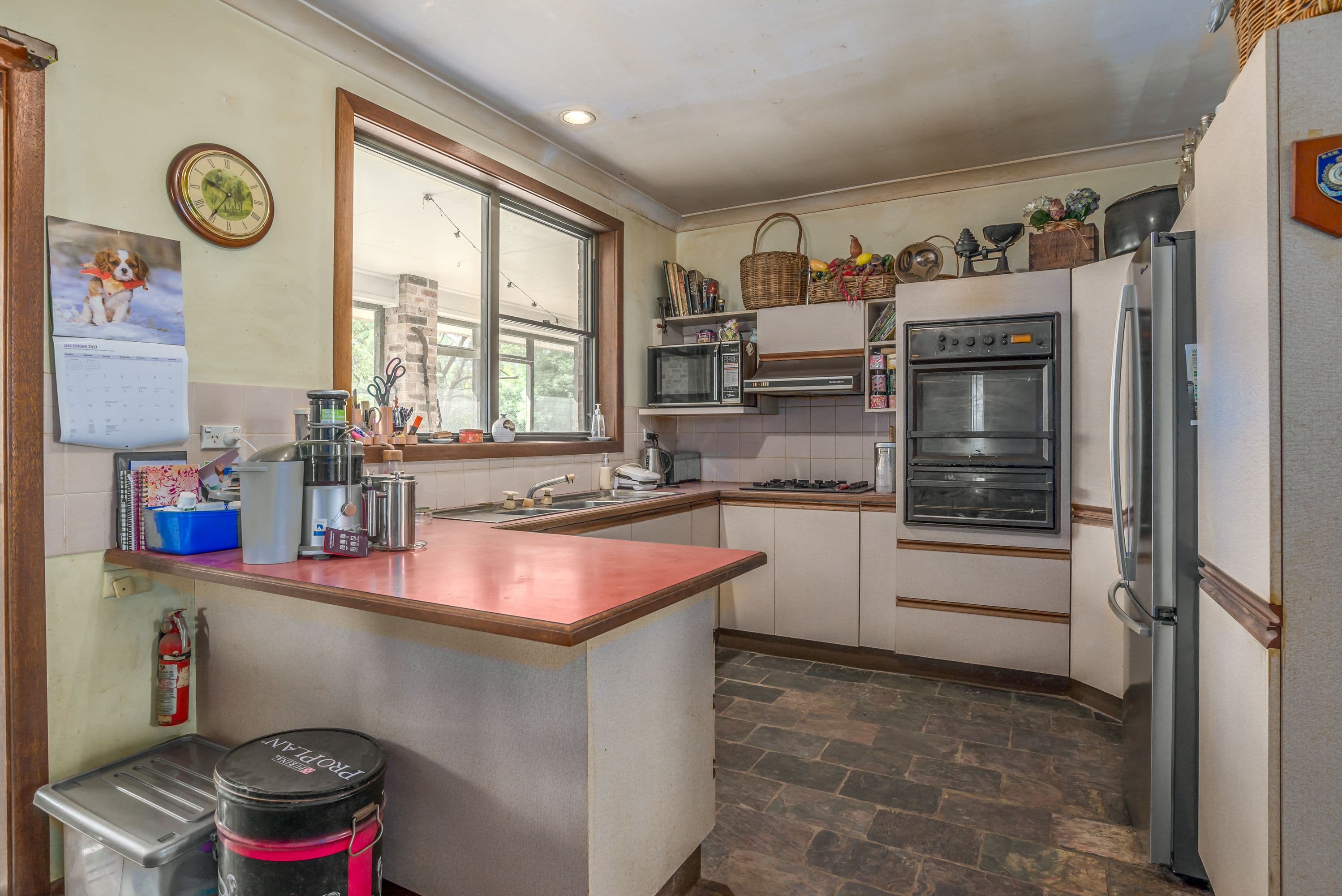 373 Italia Road, East Seaham - Thumbnail 4
