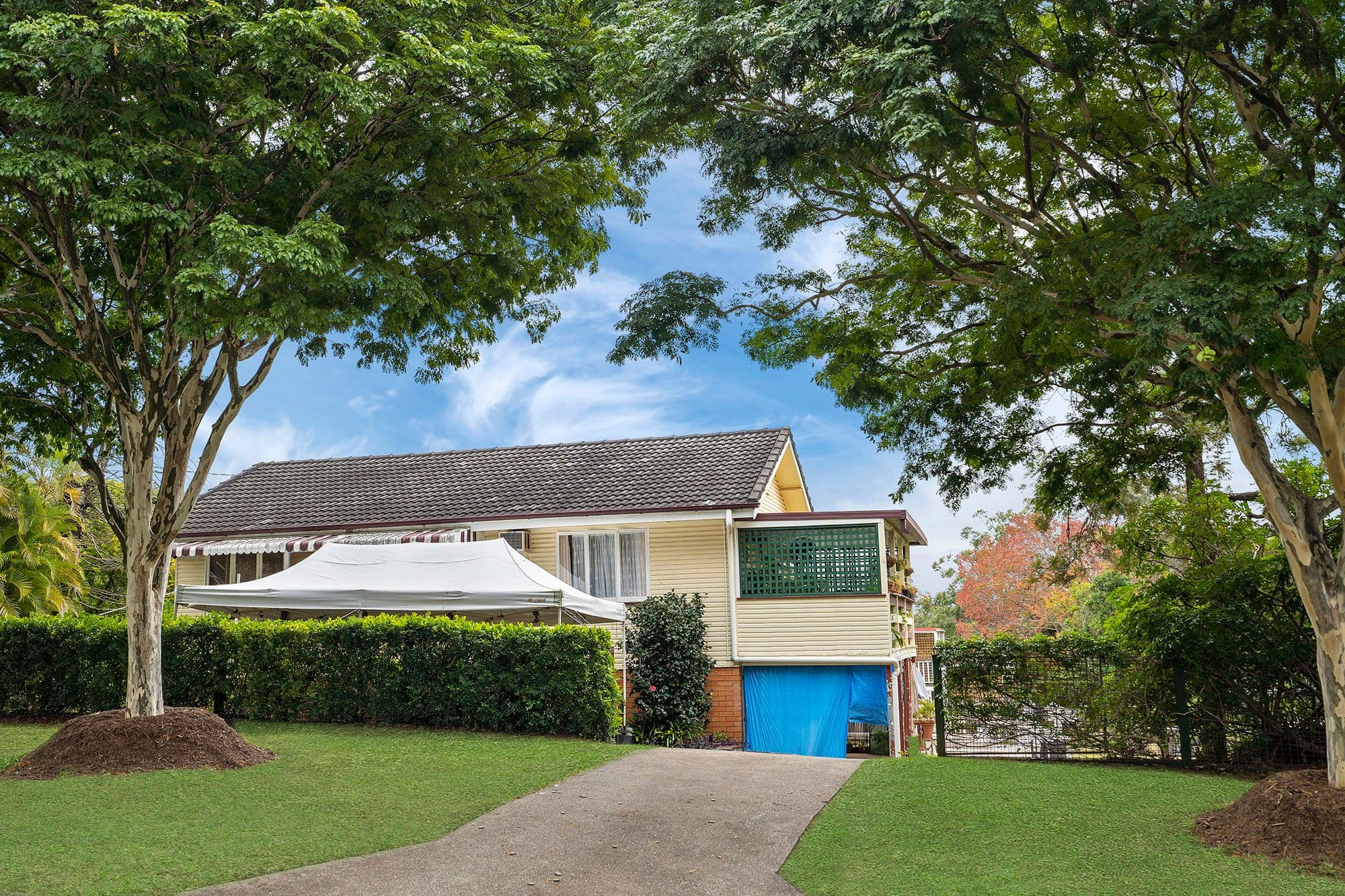 19 Boambillee Street, Mount Gravatt East QLD 4122, Mount Gravatt East - Thumbnail 5