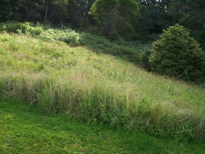 Lot 103 Gallagher Place, COFFS HARBOUR NSW 2450, Coffs Harbour - Thumbnail 3
