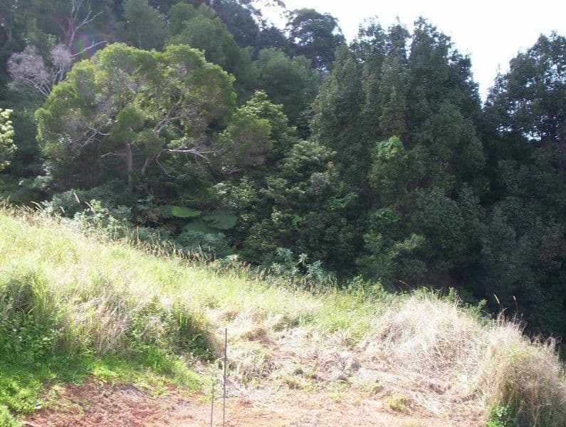 Lot 103 Gallagher Place, COFFS HARBOUR NSW 2450, Coffs Harbour - Thumbnail 4