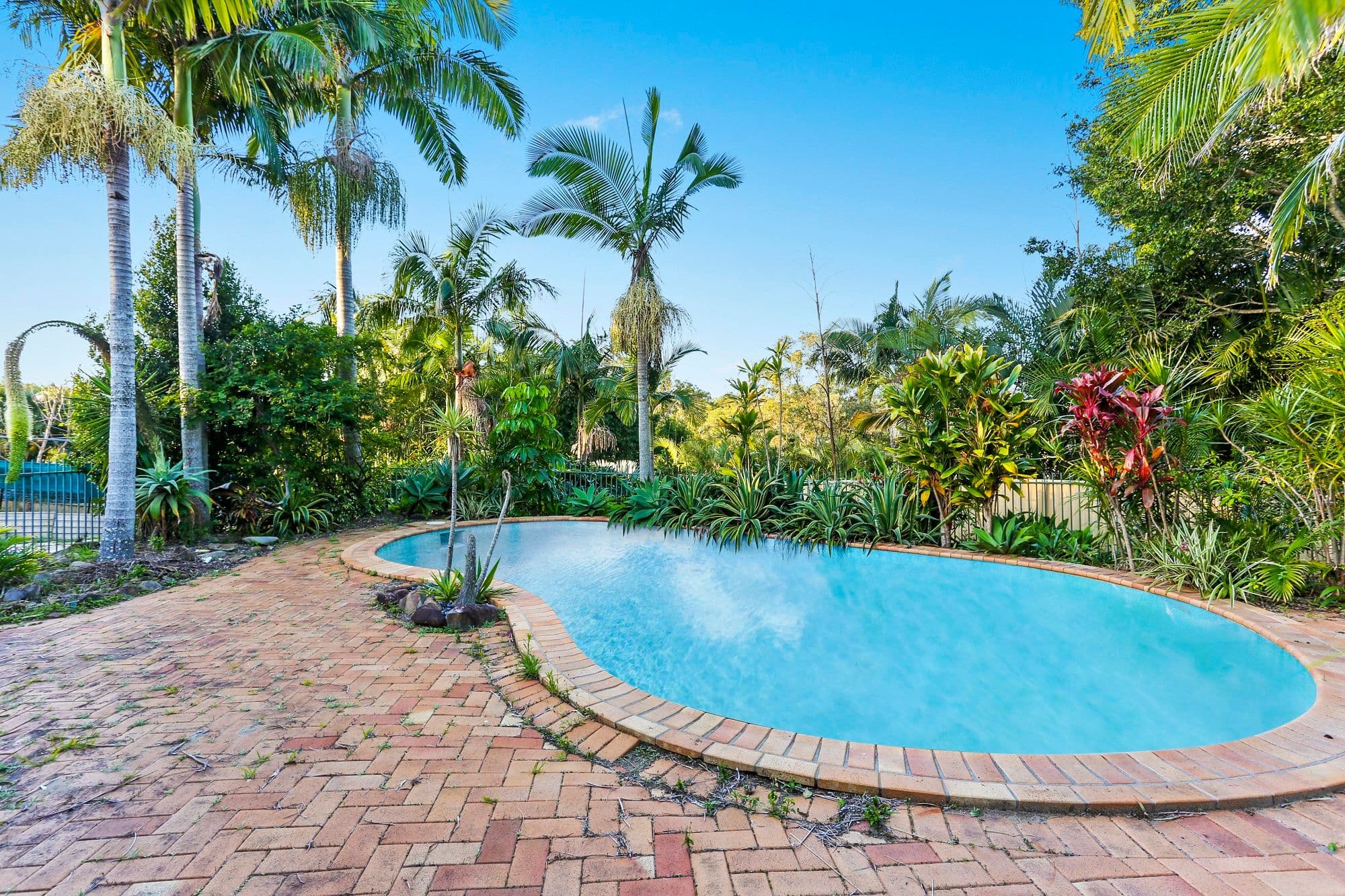 40 Bonogin Road, Mudgeeraba QLD 4213, Mudgeeraba - Thumbnail 7