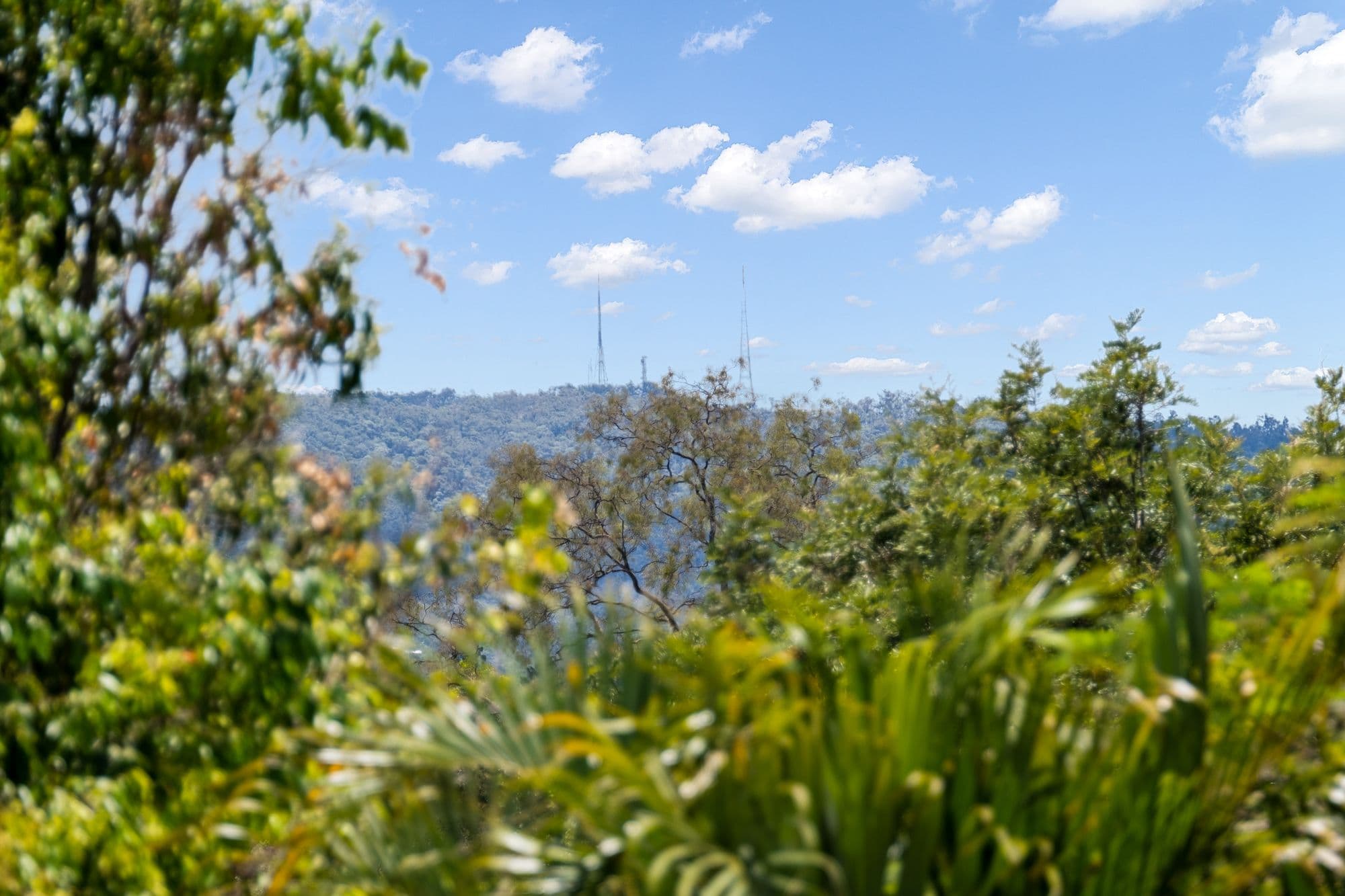 85 Quarry Road, Sherwood QLD 4075, Sherwood - Image 1