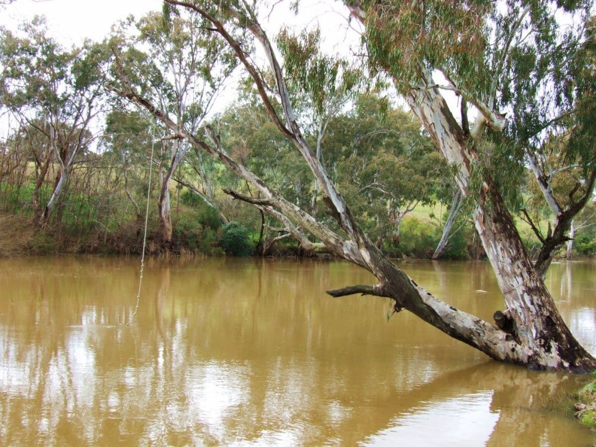 Lot 6 Chudleigh Drive, Emerald QLD 4720, Emerald - Thumbnail 4