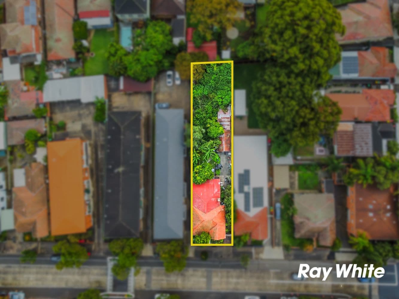 283 Wardell Road, Dulwich Hill NSW 2203, Dulwich Hill - Thumbnail 7