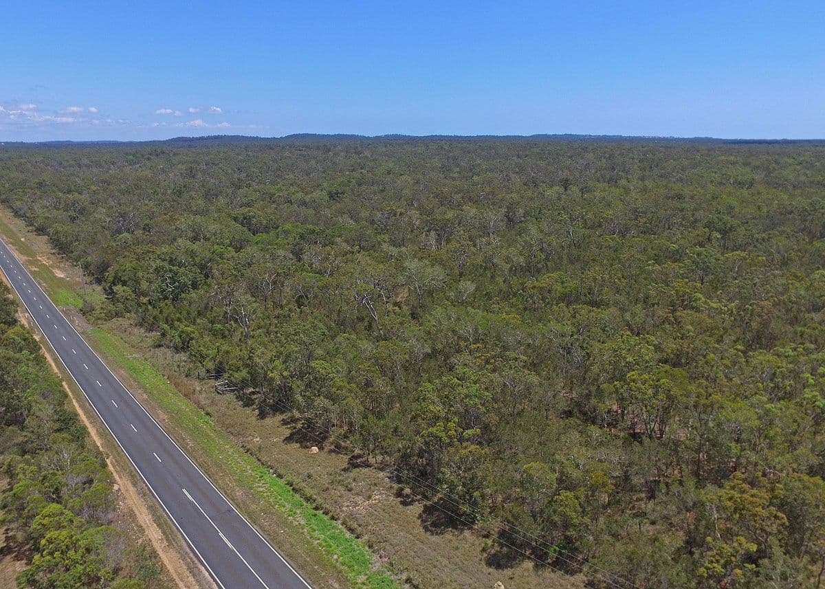 155-169 Torbanlea Pialba Road, Walligan QLD 4655, Walligan - Thumbnail 3