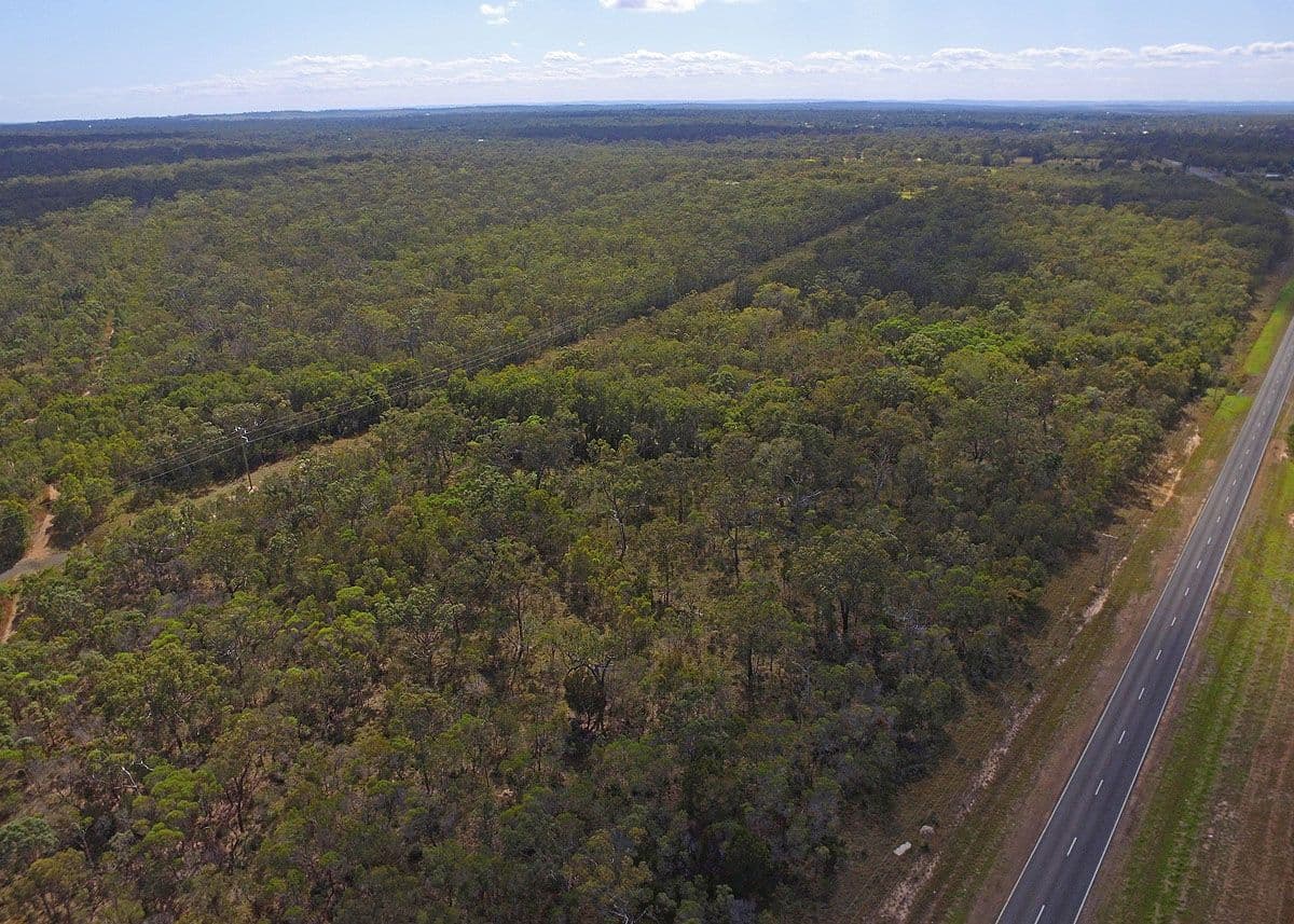 155-169 Torbanlea Pialba Road, Walligan QLD 4655, Walligan - Thumbnail 4