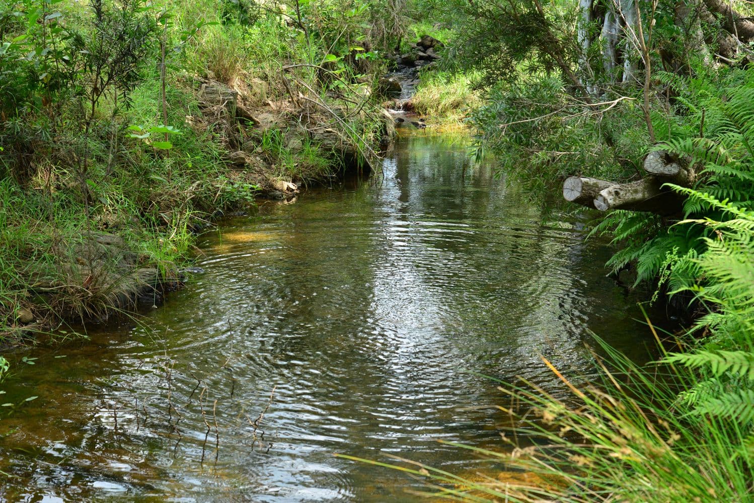 Armstrong Creek QLD 4520, Armstrong Creek - Thumbnail 7