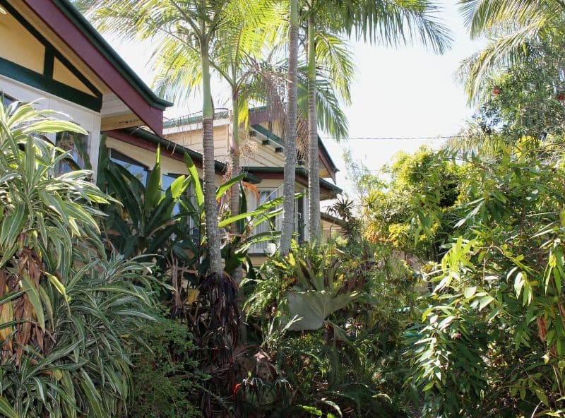 56 Strong Avenue, GRACEVILLE QLD 4075, Graceville - Thumbnail 2